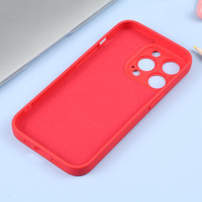 For iPhone 16 Pro Liquid Silicone Magsafe Phone Case(Red) - iPhone 16 Pro Cases by buy2fix | Online Shopping UK | buy2fix