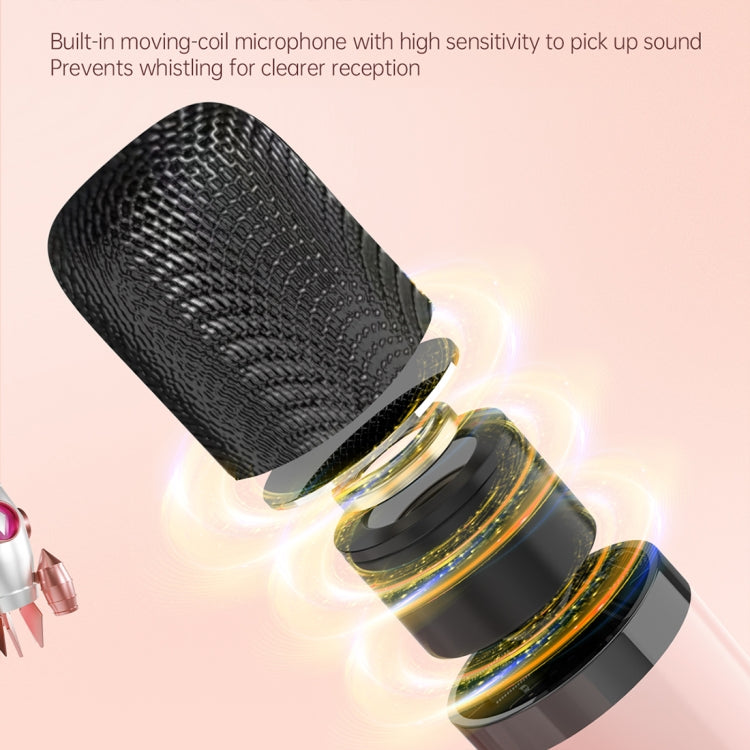 HiFi Bluetooth 5.3 Speaker Support FM, with 2 x Microphone(Pink) - Desktop Speaker by buy2fix | Online Shopping UK | buy2fix