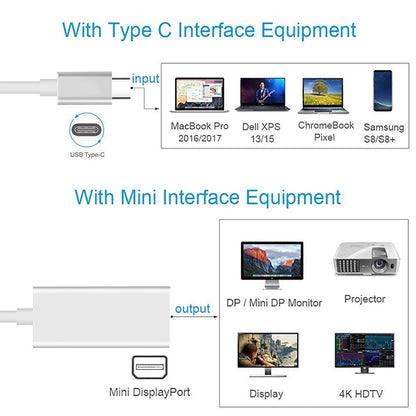 USB-C / Type-C 3.1 Male to Mini DP Female HD Converter, Length: 12cm(Silver) - Cable & Adapter by buy2fix | Online Shopping UK | buy2fix