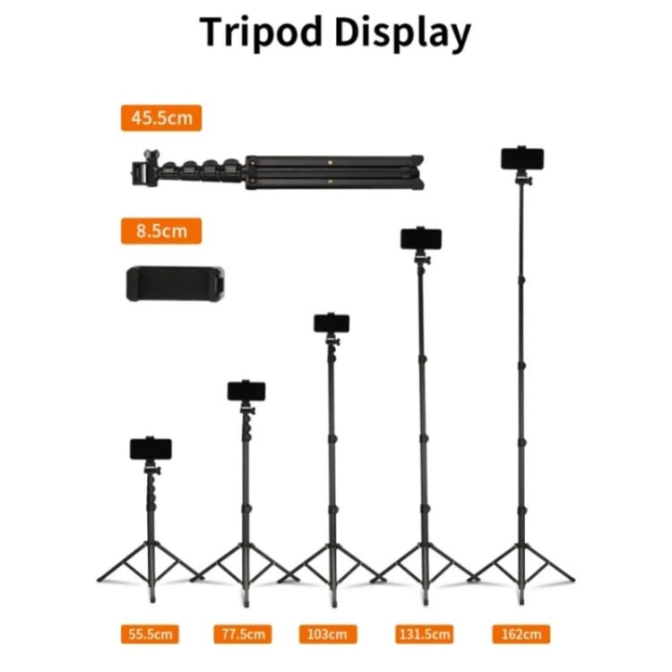 JMARY MT-39 Multifunction Live Streaming DSLR Camera Stand Holder Phone Clamp Tripod - Tripods by Jmary | Online Shopping UK | buy2fix