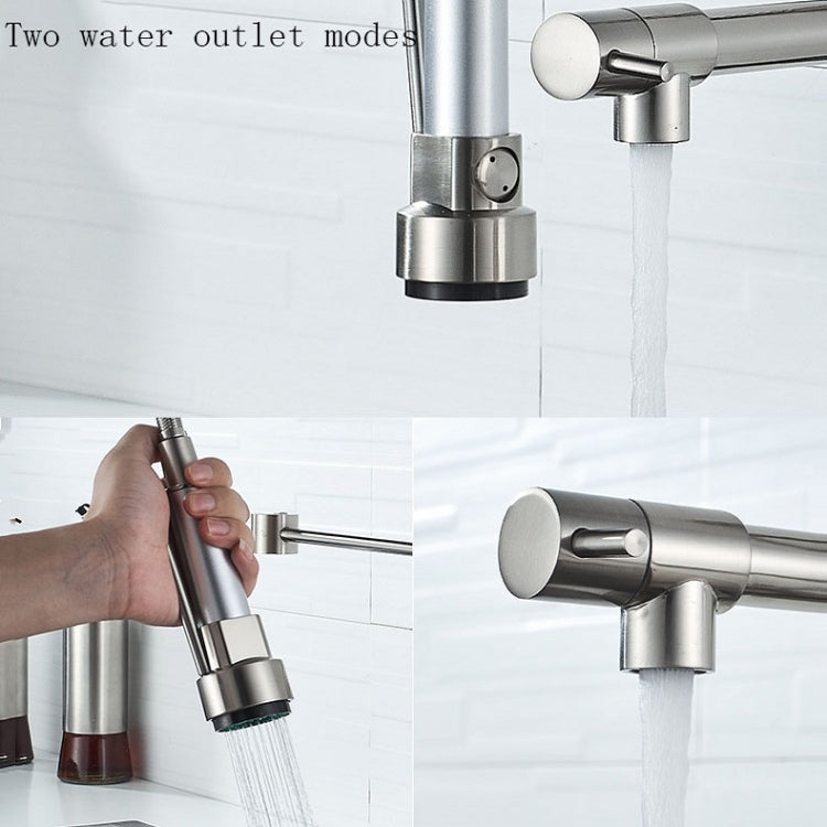 Copper And Nickel Brushed Double Outlet Spring Faucet Rotatable Kitchen Hot And Cold Water Faucet, Specification: Brushed - Faucets & Accessories by DWL | Online Shopping UK | buy2fix