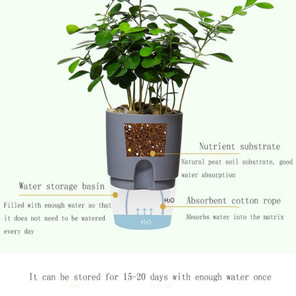 Transparent Plastic Double-Layer Water Storage Automatic Water-Absorbing Flowerpot, Size: A707 Caliber 15.3cm(Gray Transparent Basin) - Flower Pots & Planters by buy2fix | Online Shopping UK | buy2fix