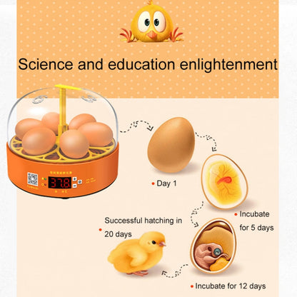 6-Eggs Small Household Experimental Children Smart Chicken Incubators, Spec: Automatic US Plug - Incubators by buy2fix | Online Shopping UK | buy2fix