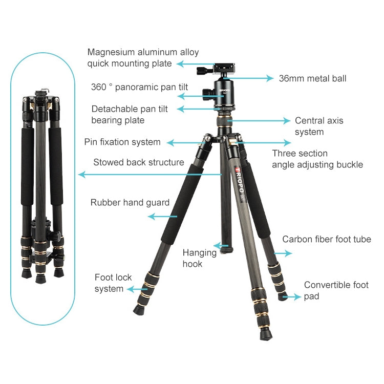 TRIOPO 853 Adjustable Portable Carbon Fiber Tripod with D2-A Ball Head for SLR Camera - Tripods by TRIOPO | Online Shopping UK | buy2fix