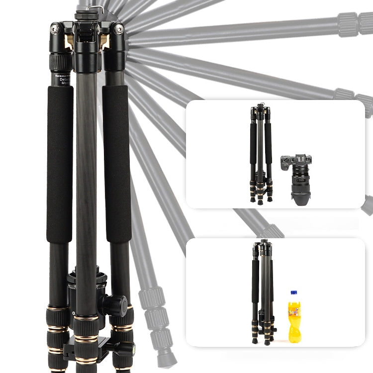 TRIOPO 853 Adjustable Portable Carbon Fiber Tripod with D2-A Ball Head for SLR Camera - Tripods by TRIOPO | Online Shopping UK | buy2fix