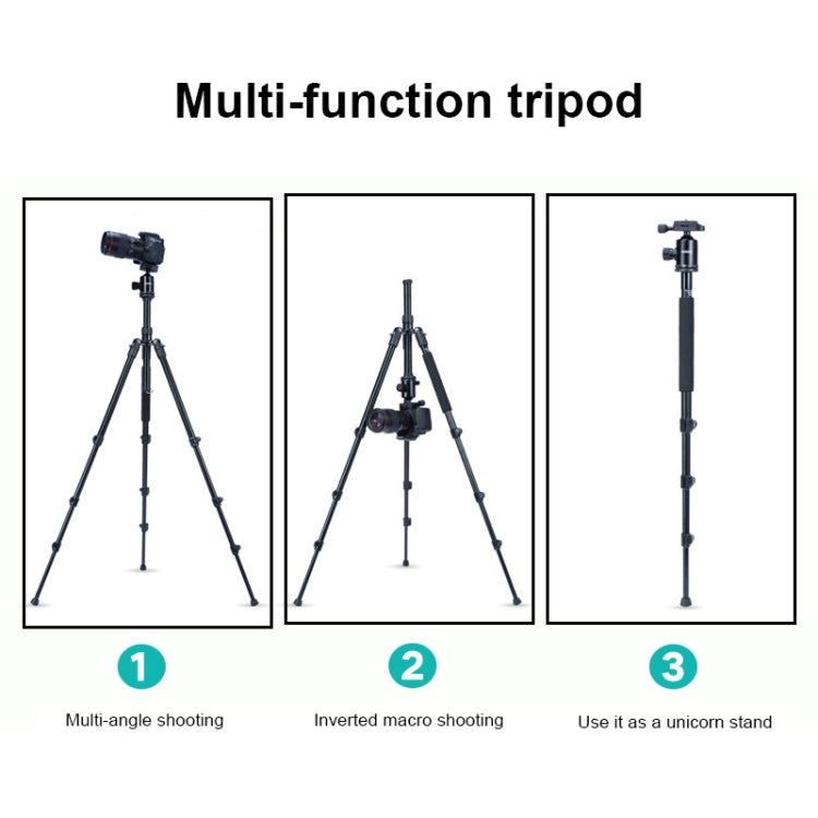 TRIOPO Oubao A-308S Adjustable Portable  Aluminum Alloy Tripod with Ball Head for SLR Camera - Tripods by TRIOPO | Online Shopping UK | buy2fix