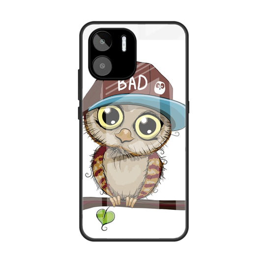 For Xiaomi Redmi A1 4G Colorful Painted Glass Phone Case(Owl) - Xiaomi Cases by buy2fix | Online Shopping UK | buy2fix