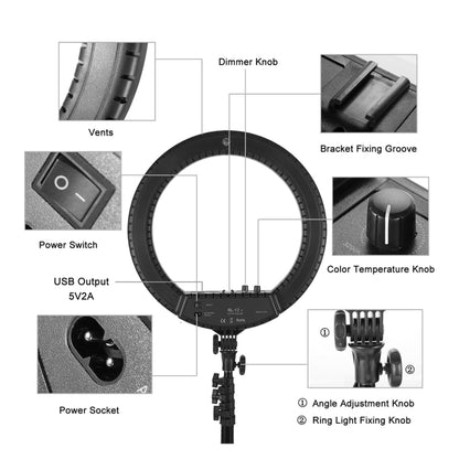 MANTOO RL-12 II 100-240V 28W 12 inch Two-color Dimmable Ring Fill Light with Tripod - Consumer Electronics by MANTOO | Online Shopping UK | buy2fix