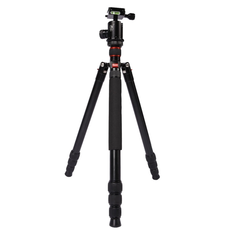 Triopo MT-2804C Adjustable Portable Aluminum Tripod with NB-2S Ball Head for Canon Nikon Sony DSLR Camera(Black) - Camera Accessories by TRIOPO | Online Shopping UK | buy2fix