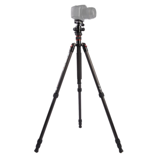 Triopo GT-2504X8.C Adjustable Portable Carbon Fiber Tripod with B-1 Aluminum Ball Head for Canon Nikon Sony DSLR Camera(Black) - Tripods by TRIOPO | Online Shopping UK | buy2fix