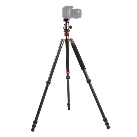 Triopo GT-2504X8.C Adjustable Portable Carbon Fiber Tripod with B-1 Aluminum Ball Head for Canon Nikon Sony DSLR Camera - Tripods by TRIOPO | Online Shopping UK | buy2fix