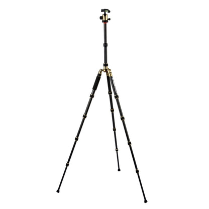 Triopo GT-2505x8.C Adjustable Portable Carbon Fiber Tripod (Gold) with B-1 Aluminum Ball Head (Black) for Canon Nikon Sony DSLR Camera - Tripods by TRIOPO | Online Shopping UK | buy2fix