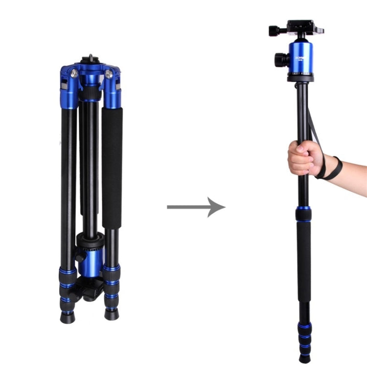 ZOMEI Z888 Portable Professional Travel Aluminium Tripod Monopod with Ball Head for Digital Camera(Blue) - Camera Accessories by ZOMEI | Online Shopping UK | buy2fix