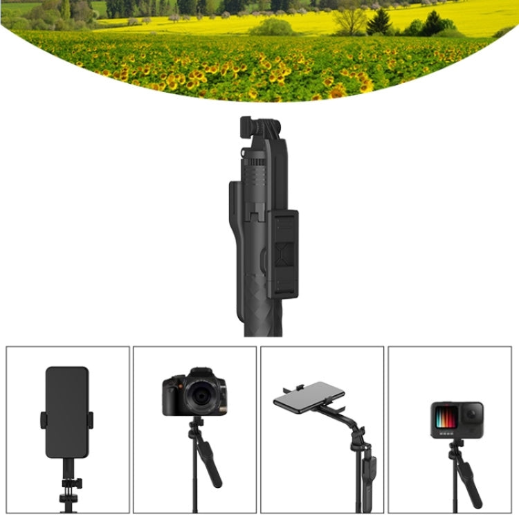 JMARY KT239 Rotation Design Camera Mount Holder 1.75m Telescopic Phone Selfie Stick Tripod - Tripods by Jmary | Online Shopping UK | buy2fix