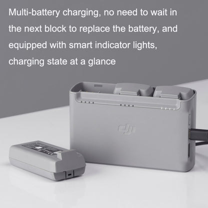 Original DJI For Mini 2 / Mini SE Two-way Charging Butler(Gray) - DJI & GoPro Accessories by DJI | Online Shopping UK | buy2fix