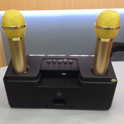 SDRD SD-301 2 in 1 Family KTV Portable Wireless Live Dual Microphone + Bluetooth Speaker(Black) - Consumer Electronics by SDRD | Online Shopping UK | buy2fix
