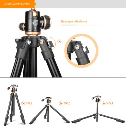 Q160s 4-Section Folding Legs Live Broadcast Aluminum Alloy Tripod Mount with Damping Tripod Ball-Head - Camera Accessories by buy2fix | Online Shopping UK | buy2fix