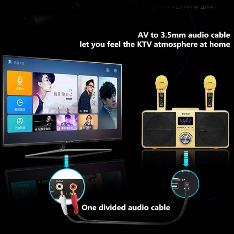 SDRD SD309 Wireless Microphone Bluetooth Audio All-In-One Machine(Golden) - Consumer Electronics by buy2fix | Online Shopping UK | buy2fix