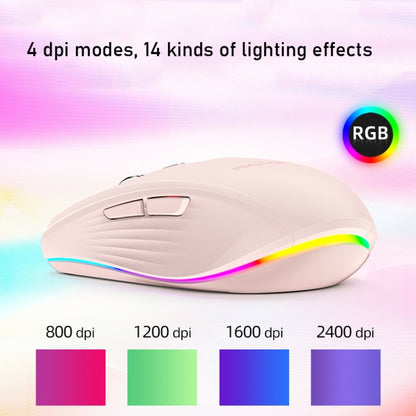 Fmouse M303 2400DPI Bluetooth&2.4G Dual Modes Rechargeable RGB Mouse(Gray) - Wireless Mice by Fmouse | Online Shopping UK | buy2fix