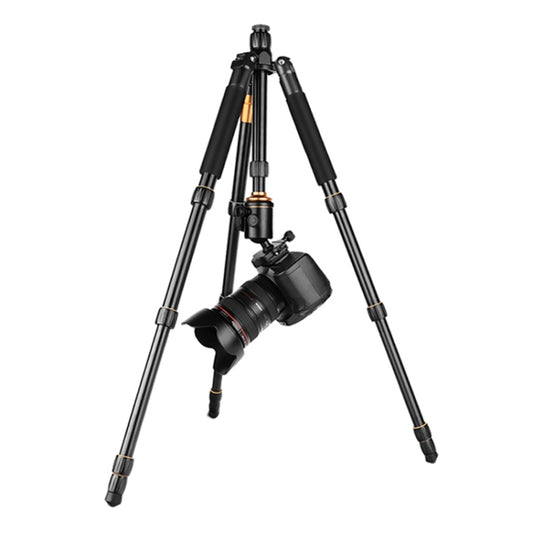 QingZhuangShiDai Q666 Portable Travel SLR Camera Aluminum Magnesium Alloy Tripod(Black) - Tripods by QingZhuangShiDai | Online Shopping UK | buy2fix