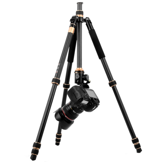 QingZhuangShiDai Q222C SLR Camera Carbon Fiber Portable Travel Tripod(Black) - Tripods by QingZhuangShiDai | Online Shopping UK | buy2fix