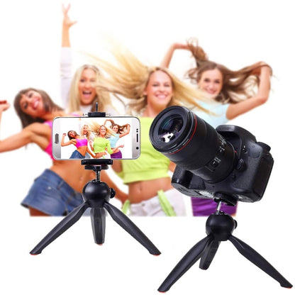 YUNTENG 228 Mini Tripod Camera Desktop Live Bracket Mobile Phone Selfie Frame(Black) - Camera Accessories by YUNTENG | Online Shopping UK | buy2fix